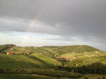 Bed & Breakfast Weingut K�gl