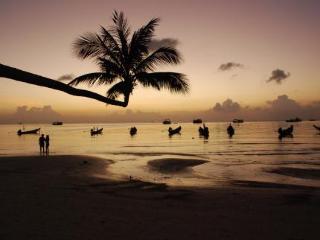 Hotel Seashell Resort