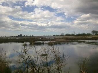 Apartamento S. Thom� Apts