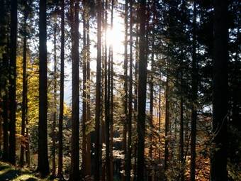 Apartamento Sunalpin - Ferienwohnungen