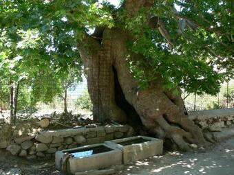 Apartamento Kavousi Houses