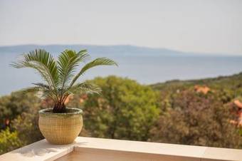 Apartments Villa Iva