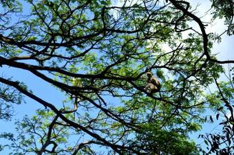 Hostal Villa Naturaliza