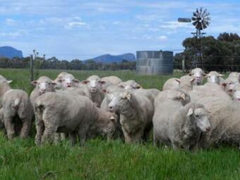 Agroturismo Grampians Historic Tobacco Kiln