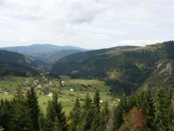 Apartamento Vila Matea