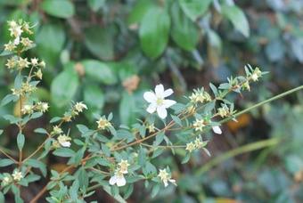 Hostal Pousada Estalagem Moeda Real