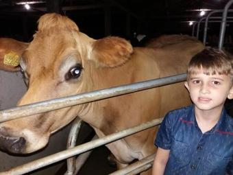 Hostal Pousada Dona Teresinha