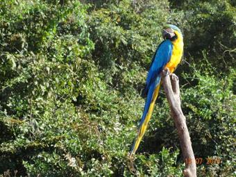 Hostal Pousada Sao Mateus
