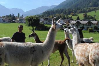 Apartamento Pauraria Puntetta