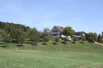 Bed & Breakfast Bnb Im Waldhof