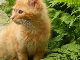 Agroturismo G�rlitzerhof