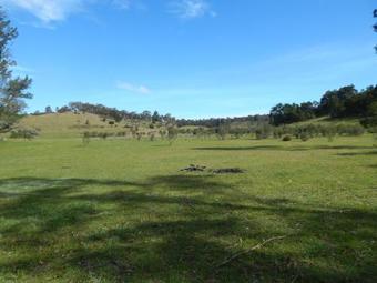 Corang River Bed And Breakfast