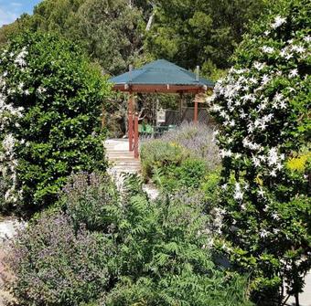 Barossa Glen ~ Henri's Cottage ~ Bed & Breakfast