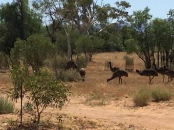 Agroturismo Edeowie Station