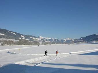 Hotel Alpenhof Brixen