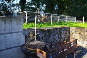 Bed & Breakfast Ribelhof