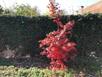 Bed & Breakfast Ch�teau De Mathod