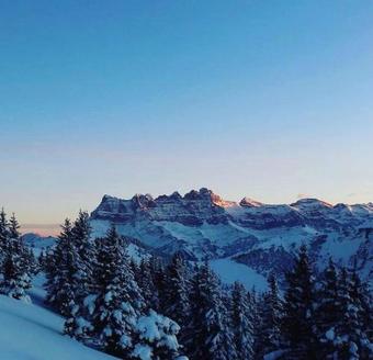 Bed & Breakfast Torgon Alpine Center