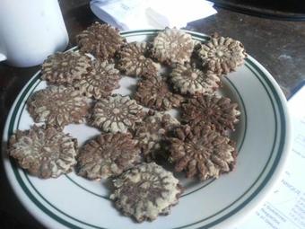 Hotel Cabinas Caniki