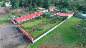 Hotel Cabinas Las Palmeras