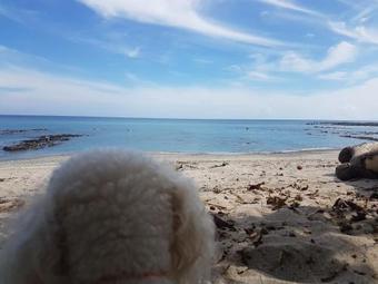 Agroturismo Pura Vida House Cabo Blanco