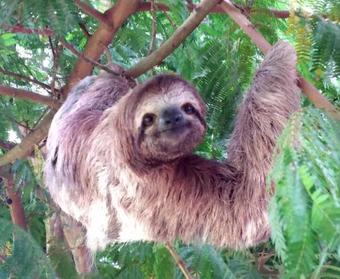 Valley Of Dreams Eco Lodge Groups And Retreats