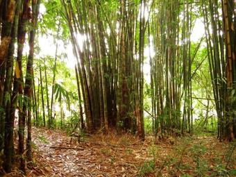 Hotel Rancho La Botija