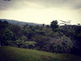 La Tigra Rainforest Lodge