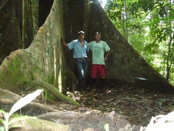 Lodge Ave Sol River Sanctuary