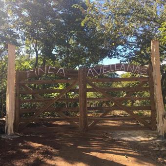 Finca Avellanas
