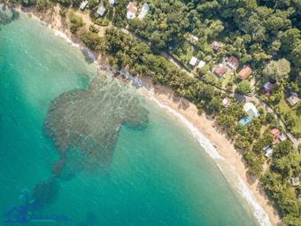 Villa Casa Violeta Beach House