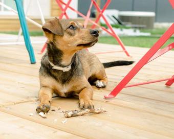 The Parcels Hotel - Adults Only