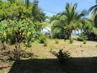 Pineapple House Manzanillo