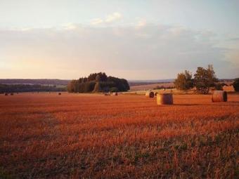 Lodge Ubytov�n� Chlum 1