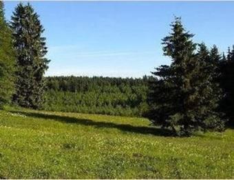 Apartment In Siegmundsburg 3195