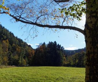 Bed & Breakfast Pension Rastst�b'l