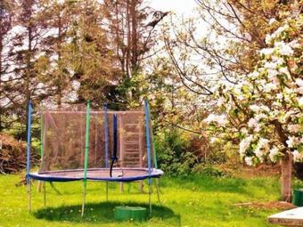 Apartamento Ferienwohnung Zum Naturstrand