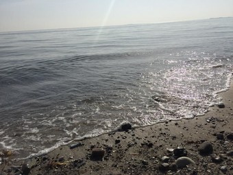 Bed & Breakfast Stay By Stage