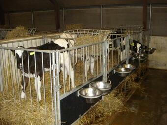 Kirstinesminde Holiday House