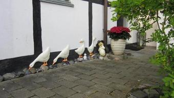 Hostal Hotel Frederiksminde