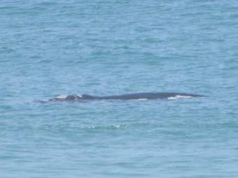 Hostal Melkhoutkloof Guest House