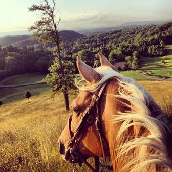 Agroturismo Estrella Rural Casa Rural Sierra De Madrid