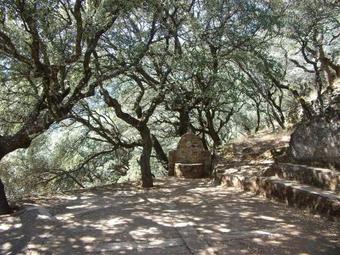 Agroturismo Las Casitas Del Bodegon