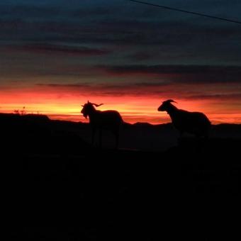 Posada Santuario De Bellmunt