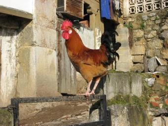 Apartamento L�arboleu