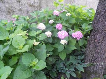 Holiday Home Rue Des Halles