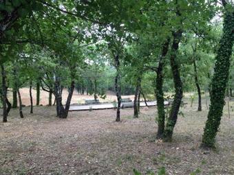 Bed & Breakfast Bellone En Provence