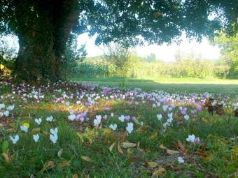 Beautiful Villa In Cussay With Swimming Pool