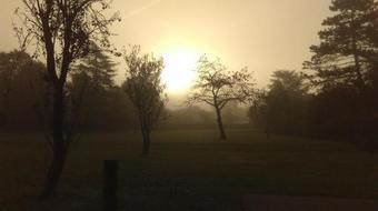 Bed & Breakfast Le Jardin D'eden