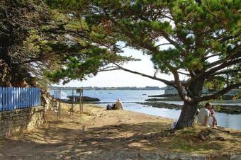 Holiday Home Larmor-baden - Bre04263-f